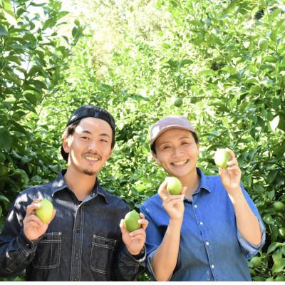 ふるさと納税 松山市 もりのしずくれもん(国産レモン)3kg |  | 03