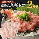 【ふるさと納税】【訳あり】【緊急支援品】高豊丸 ネギトロ 2kg (200g×10パック) ふるさと納税限定 高品質 ねぎとろ マグロ 鮪 まぐろ たたき まぐろのたたき 訳あり おかず 魚介 魚 寿司 すし 海鮮 小分け 海鮮丼 手巻き寿司 冷凍 故郷納税 送料無料