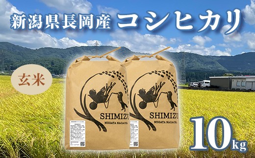
            N5-G101新潟県長岡産コシヒカリ玄米10kg
          