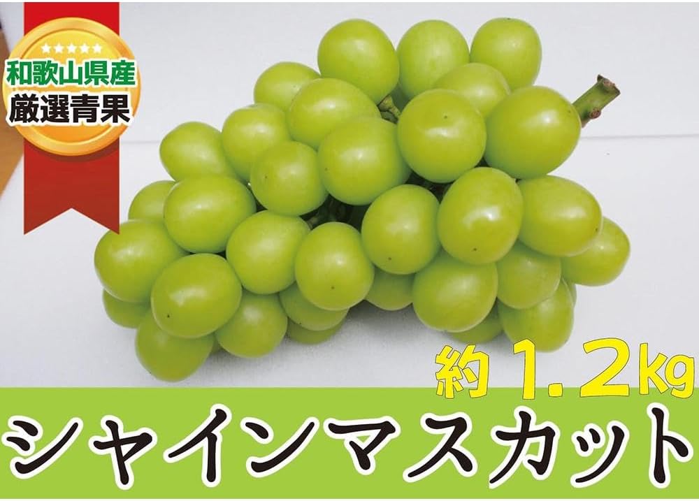 【ふるさと納税】 シャインマスカット 約1.2kg ★産地直送★【2026年8月下旬～2026年9月中旬頃順次発送】/ 和歌山県 かつらぎ町 産地直送 マスカット ぶどう 葡萄 甘い ジューシー 高糖度 2026年【A259-frks152】