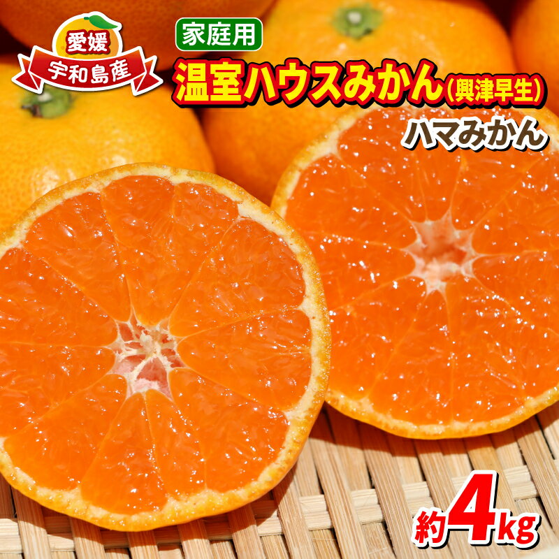 【ふるさと納税】 温室みかん 興津 早生 4kg 家庭用 7月発送 先行予約 ハマみかん 温州みかん みかん 興津早生 早生温州 ハウス栽培 ハウスみかん ハウス蜜柑 果物 フルーツ 柑橘 愛媛ミカン 愛媛蜜柑 愛媛みかん 農家直送 産地直送 数量限定 国産 愛媛 宇和島 B025-075007