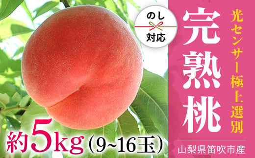 ＜25年発送先行予約＞笛吹市産こだわりの桃 約5.0kg (9〜16玉)  090-011