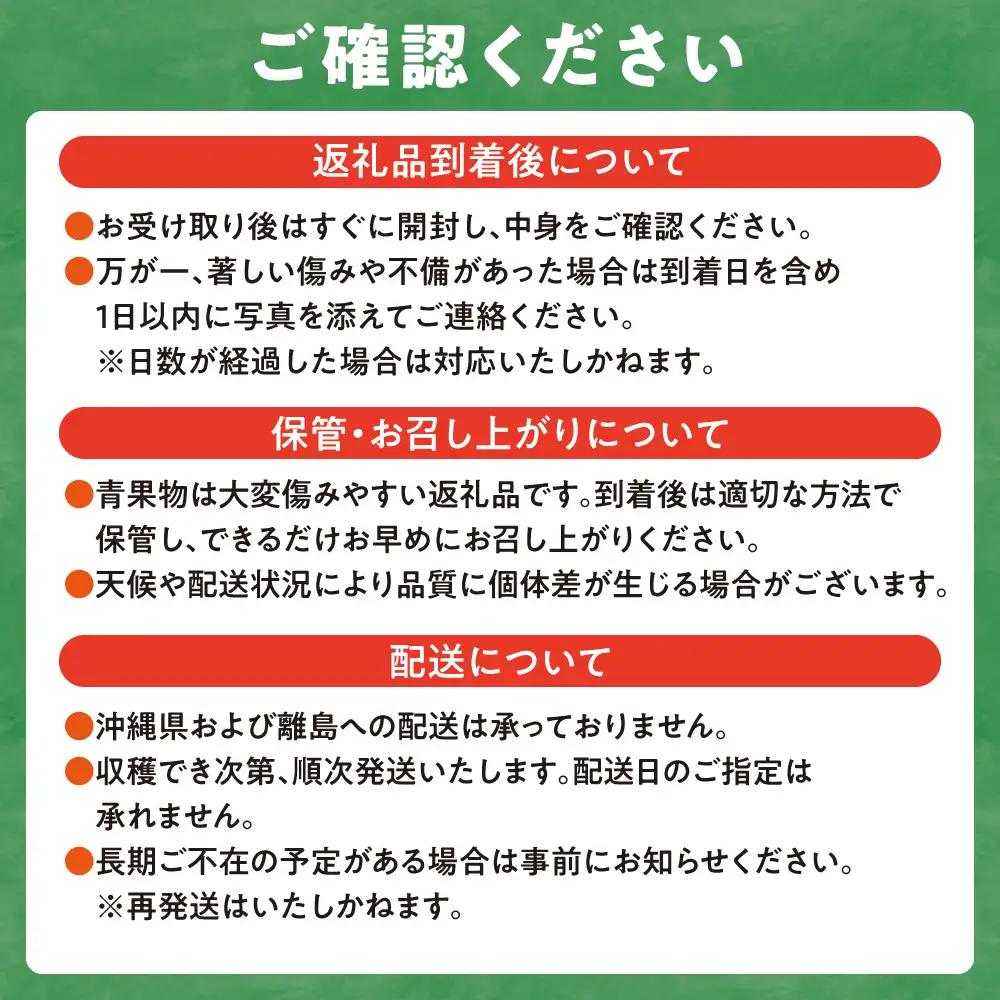 石狩産スイートコーン(色：イエロー） 20本【8月～9月発送】｜ 北海道産 とうもろこし 野菜 北海道 石狩市