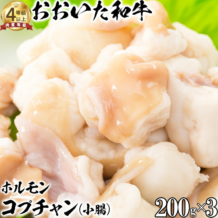 【ふるさと納税】おおいた和牛ホルモン（コプチャン 200g×3）【ニード牧場】 お楽しみ 豊後牛 牛肉 お肉 人気 国産 ＜129-018_6＞