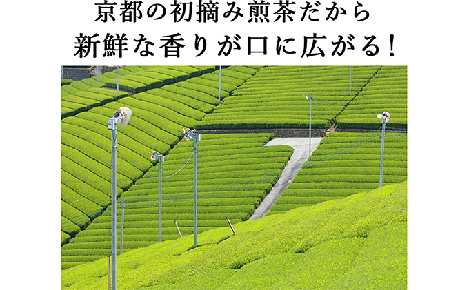 桜皮茶筒と最高峰煎茶と玉露のセット　宇治茶の木谷製茶場 〈 煎茶 玉露 宇治茶 茶 お茶 緑茶 茶葉 お茶葉 最高峰 濃厚 最上級 高級 桜皮 セット 茶筒 保存缶 宇治 〉