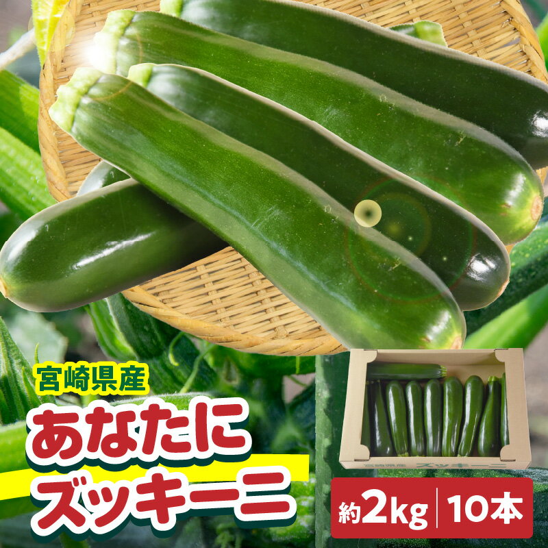 【ふるさと納税】野菜ソムリエサミット銀賞受賞！ あなたにズッキーニ約2kg（10本）