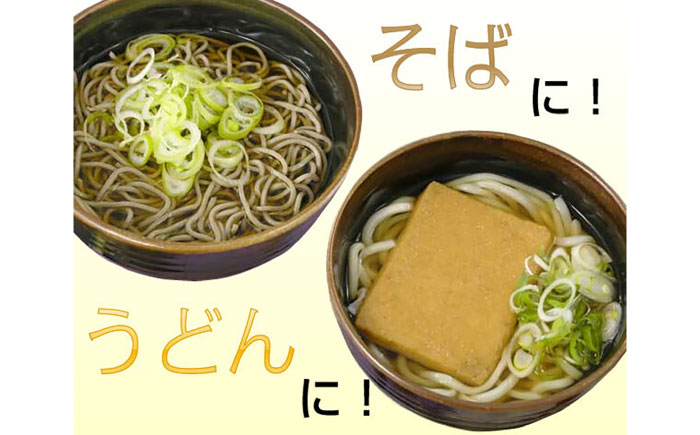 手作り鰹だしめんつゆうどんそばスープ10袋セット 自家製だし 【グレイジア株式会社】 [ATAC163]