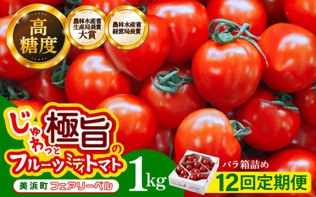 定期便 ≪12ヶ月連続お届け≫じゅわっと極旨のフルーツミディトマト 約1kg (バラ箱詰め)【 とまと トマト フルーツトマト ミニトマト トマトジュース 野菜 やさい 人気 新鮮 産地直送 甘い 高糖度 完熟 食べやすい リコピン ビタミン ダイエット 美容 美肌 】 [m37-e001]]