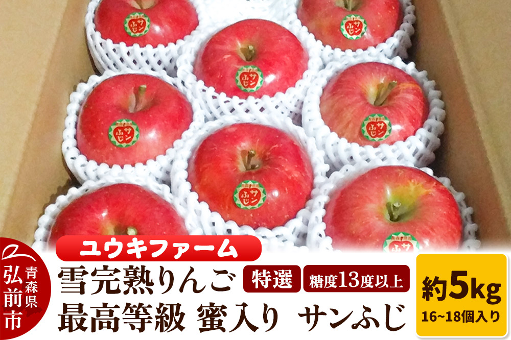 りんご 【 数量限定 】雪完熟りんご 最高等級 蜜入り 糖度13度以上 「特選」弘前市産 サンふじ 約 5kg 16〜18個