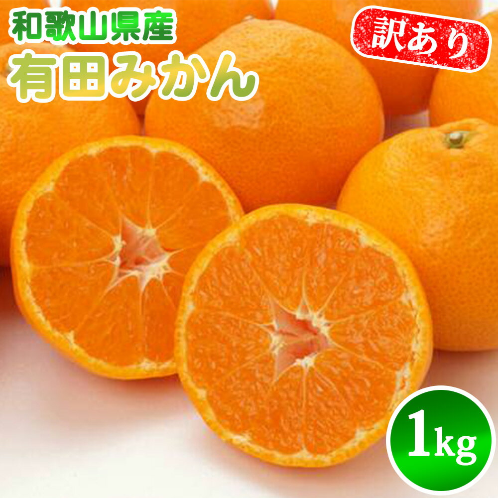 【ふるさと納税】【2025年先行予約】有田みかん 1kg SS ～ 2L サイズ混合 訳あり 有田 みかん フルーツ 果物 果実 柑橘 甘い 国産 食品 食べ物 農家直送 お取り寄せ 里美農園 和歌山県 湯浅町 送料無料