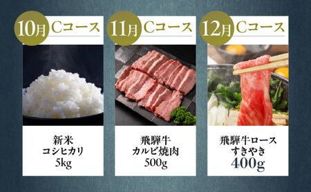 【定期便】どやな飛騨市 まるごと 定期便 毎月 お届け 12回 [Q3015_C]