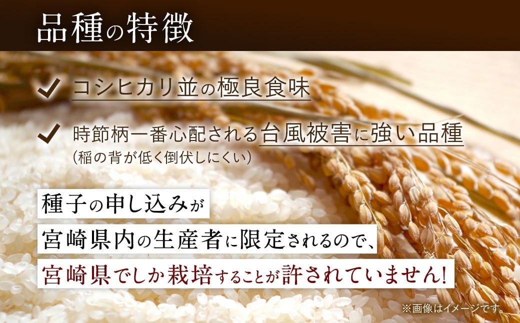 宮崎県産夏の笑み（無洗米）5kg×1袋