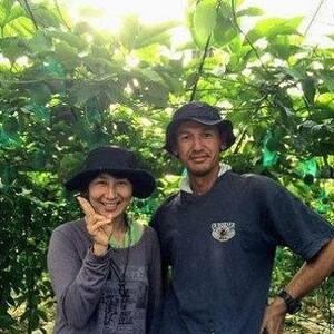 【先行受付】奄美大島産 パッションフルーツ 約1.2kg（化粧箱12個入り×1箱）＜ながむら農園＞|パッションフルーツ