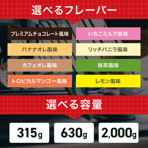 【定期便12回】DNS プロテインホエイ 100 トロピカルマンゴー 風味 2000g