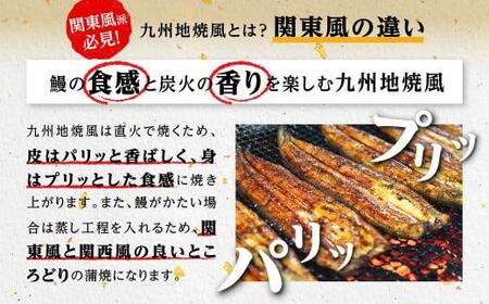 鹿児島県大隅産 備長炭手焼き うな丼パック 10袋入(700g)