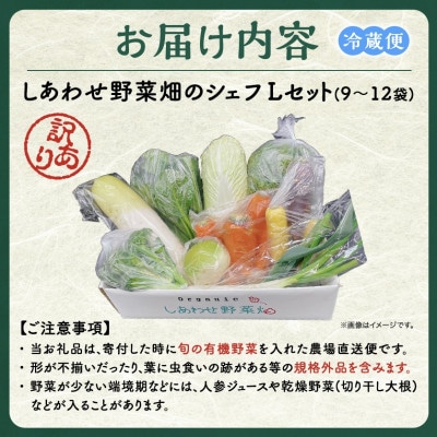 【毎月定期便】しあわせ野菜畑のシェフLセット　(訳あり規格外の有機野菜を一部使用)全6回【配送不可地域：離島・北海道・沖縄県・四国・九州】【4066426】