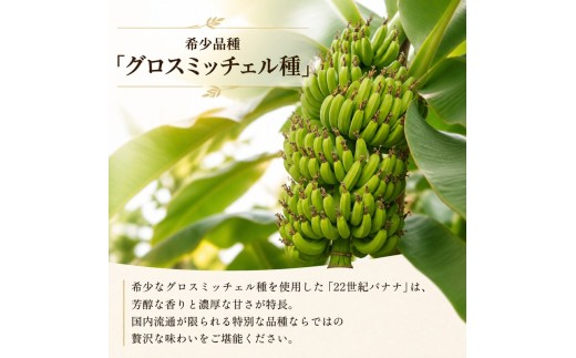ドライバナナ 1袋 グロスミッチェル種 幻のバナナ 野菜 果物 ドライフルーツ スイーツ 甘い  徳島県産  国産バナナ バナナ 産地直送 送料無料 
