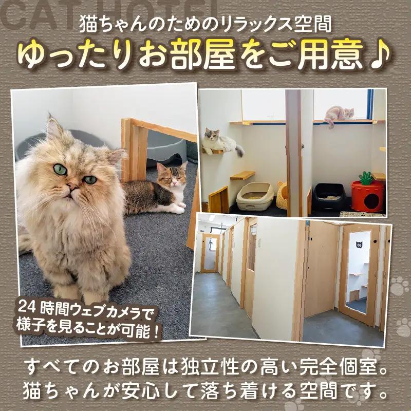 CAT HOTEL & TRIMMING　うぃんべる　宿泊利用券　3匹専用プラン│ペットホテル 宿泊券 猫 1泊2日 愛知県 常滑市