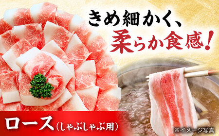 【全6回定期便】瀬戸豚3種セット計1.6kg 豚肉 [BBBQ062] 豚肉 定期便