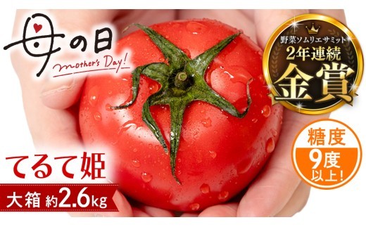 
                  【母の日専用】 スーパーフルーツトマト てるて姫 大箱 約2.6kg ×1箱 糖度9度以上 《5月3日～9日お届け メッセージカード付》[BC094sa]
                