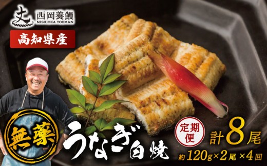 完全無投薬 鰻白焼 国産 定期便 計8尾 ( 120g × 2尾 × 4回 ) うなぎ白焼 鰻 厳選 無薬 うなぎ 白焼き 白やき 国産うなぎ 国産鰻 人気 鰻白焼き 特製タレ 山椒 セット 湯煎 簡単調理 旨味 風味 香ばしい うな重 土用の丑の日 スタミナ食 ギフト 贈り物 贈答 お取り寄せ グルメ 高級 うなぎ料理 こだわり 冷凍 高知県産 ランキング おすすめ 西岡養鰻 安芸市 高知県