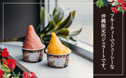 沖縄の素材を活かしたやんばるジェラート 6個セット 【2017ジェラート世界大会準優勝】 | やんばるジェラート | 沖縄 お取り寄せ アイス アイスクリーム ジェラート 冷たい スイーツ おやつ お