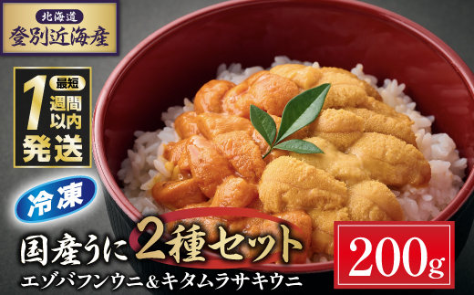 登別近海産冷凍 エゾバフンウニ&キタムラサキウニ 2種食べ比べセット（パック詰）200g