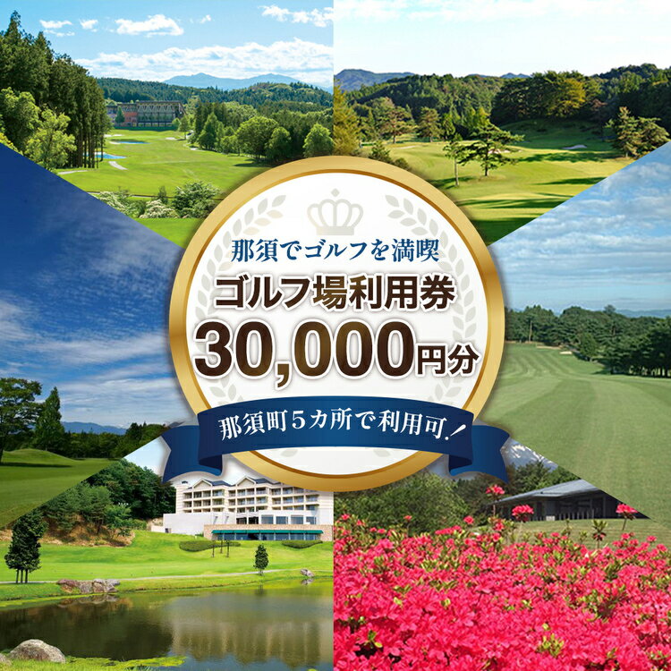 【ふるさと納税】那須でゴルフを満喫！ゴルフ場利用券30,000円分｜ゴルフ ゴルフ場 利用券 チケット プレーチケット 体験 旅行 観光 プレー券 那須 栃木県那須町 那須町〔G-22〕※着日指定不可※離島への配送不可