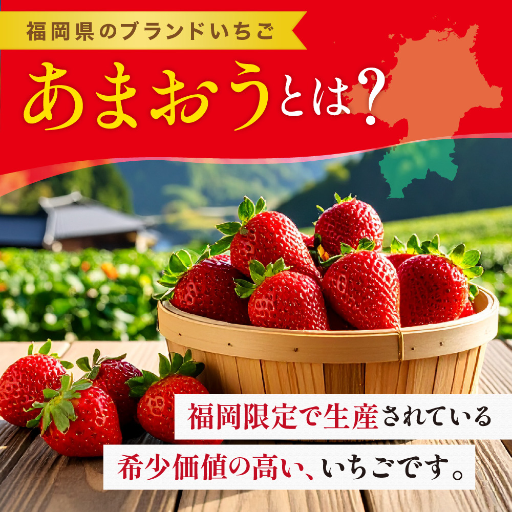 <予約受付中!2026年1月上旬より順次発送予定>福岡県産 あまおう(計約560g・280g×2P) 苺 いちご イチゴ 果物 フルーツ 国産 福岡県 ヨーグルト ジャム スムージー 冷蔵 ONEGO