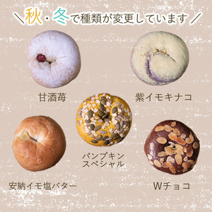 ベーグル専門店 BAGELラクダピクニック バラエティベーグルセット パン ベーグル 国産 ベーグル 焼き立て ベーグル 9個セット ベーグル 詰め合わせ ベーグル 松山市 愛媛【RP002_x】