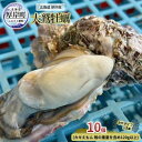 【ふるさと納税】北海道 厚岸産 大鷲牡蠣 10個 カキ 牡蠣 殻牡蠣　 魚貝類 海鮮 海の幸 生牡蠣 カキえもん 生食用牡蠣 殻付かき つまみ お酒のあて 　お届け：2024年11月～12月10日頃、2025年1月10日頃～5月末まで