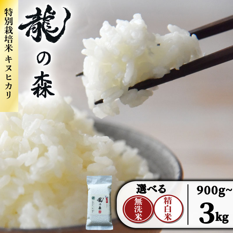 【ふるさと納税】 龍の森 真空パック キヌヒカリ こだわり 選べる 無洗米 精白米 1パック 300g お米 米 こめ ご飯 白米 コメ ごはん おにぎり 真空包装 小分け 旨味 甘み 特別栽培米 AM酵素農法 賞味期限 6ヶ月 長期保存 非常用 備蓄 アウトドア キャンプ 京都府 南丹市 日吉