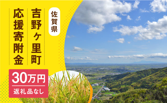 
【返礼品なし】吉野ヶ里町へのご寄附300,000円 [FZZ004]
