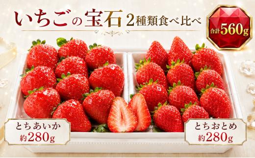 【先行予約】いちご いちごの宝石 2種類食べ比べ｜いちご 苺 ichigo 女峰 ミルキーベリー とちひめ とちあいか とちおとめ やよいひめ 粒 栃木県 那珂川町 送料無料【栃木県共通返礼品】
