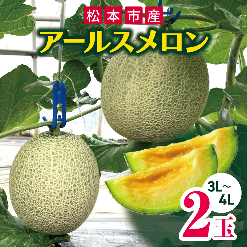 【ふるさと納税】【先行受付】松本市産 アールスメロン 2玉 家庭用 ｜ふるさと納税 果物 くだもの フルーツ めろん アールスメロン メロン 長野県 松本市 2玉 ( 3L ～ 4L )
