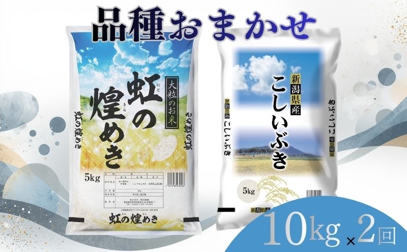 
                  【8月下旬より配送】 新潟県産 品種おまかせ 10kg  2か月定期便 新潟県 新潟市産 令和7年産 お米 精米 米 ご飯 送料無料
                