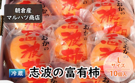 柿 冷蔵 志波の富有柿 Lサイズ×10個入 マルハツ商店 配送不可：離島 果物類 かき 