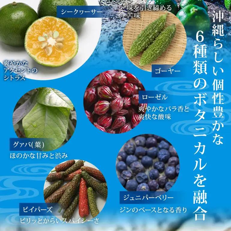 オキナワ ジン 700ml 1本 まさひろ酒造 クラフトジン 沖縄