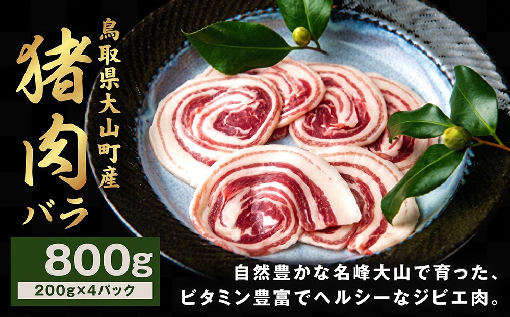
                  GB-06　猪肉バラ 800g
                
