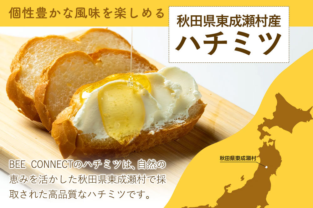 MARRONNIER マロニエ 300g×1個（ガラスびん） [BEE CONNECT はちみつ ハチミツ 蜂蜜 ガラス瓶 瓶 マロニエ 栃 トチ 秋田県産]