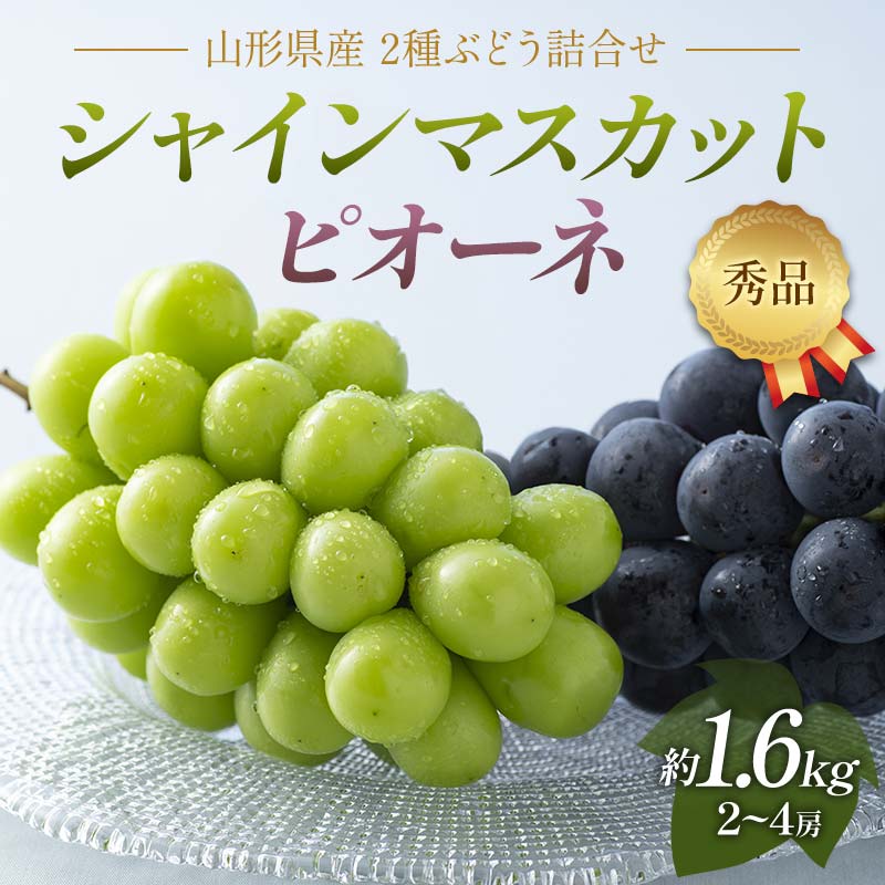 【ふるさと納税】 《2026年先行予約》贈答用 山形県産 シャインマスカット ピオーネ 2種詰合せ 約1.6kg(2～4房) 秀品 2026年8月下旬から順次発送 種無し ぶどう 大粒 夏果実 秋果実 果物 くだもの フルーツ 贈り物 ギフト プレゼント 産地直送 山形県 西川町 月山 FYN6-059