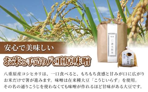 【太陽と大地】八重原産特別栽培米（減農薬・減化学肥料栽培）コシヒカリ（白米）５kgと信州味噌「八重原味噌」５００ｇのセット