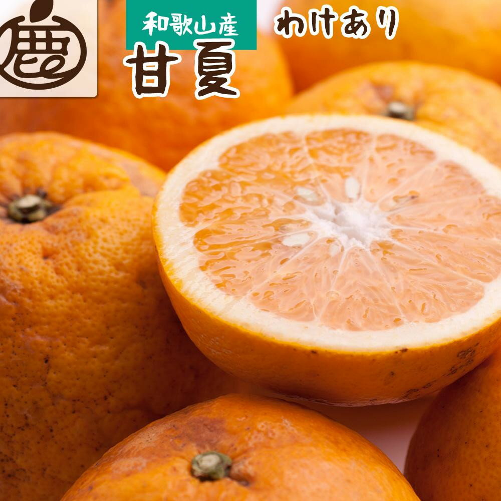 【ふるさと納税】【選べる容量】［先行予約］ 家庭用 甘夏柑 2.5～10kg+250g（傷み補償分）［初夏のみかん・旬の果物］［有田産］［光センサー食べ頃出荷］［わけあり・訳あり］［IKE75］ | 柑橘 フルーツ 果物 くだもの 食品 人気 おすすめ 送料無料