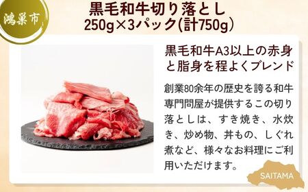 【切り落とし】 全3回定期便 切り落としお肉セット | 牛肉 豚肉