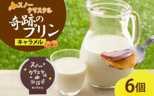 
            旭山 奇跡のプリン キャラメル 90 g 6 個【 北海道 スノークリスタル プリン 濃厚 低温殺菌 生乳 乳 スイーツ デザート おやつ お菓子 カップ プレゼント ギフト 旭川市 】_04222
          