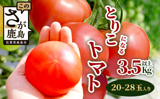 【先行予約】 たにぐちファーム とりこになるトマト 3.5kg以上【2025年12月より発送開始】 Ricotomato トマト B-665