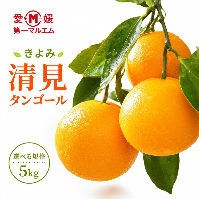 【ふるさと納税】 【先行予約】清見タンゴール 5kg 正品 訳あり 7000円 10000円 みかん mikan 蜜柑 ミカン わけあり きよみ 産地直送 国産 農家直送 期間限定 数量限定 特産品 ゼリー ジュース アイス 第一マルエム 愛南町 愛媛県