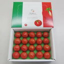 【ふるさと納税】【先行予約・2024年12月中旬】シュガートマト ビアンコ08（糖度8度以上） 1kg 高糖度 フルーツトマト JA