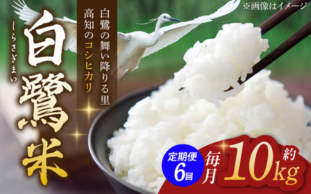 【6回定期便】 新米 R7年度産 農薬節減！ 白鷺米 コシヒカリ 各約10kg 合計約60kg / 高知 米 お米 精米 　【津ノ宮農園】[ATBV015]