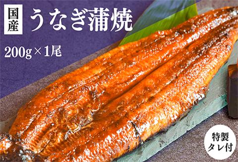 うなぎの美味しさはタレで決まる！自慢の味・国産活うなぎ蒲焼（1本入）